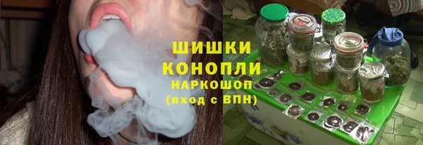 дживик Ельня