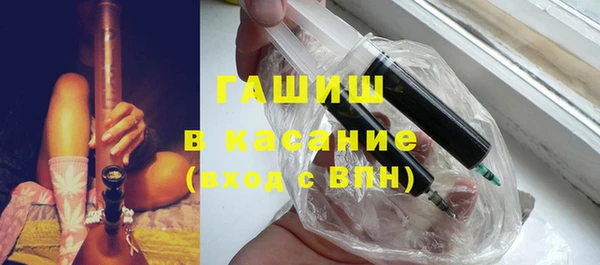 дживик Ельня