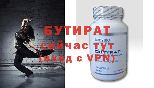 дживик Ельня