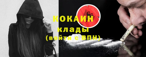 дживик Ельня