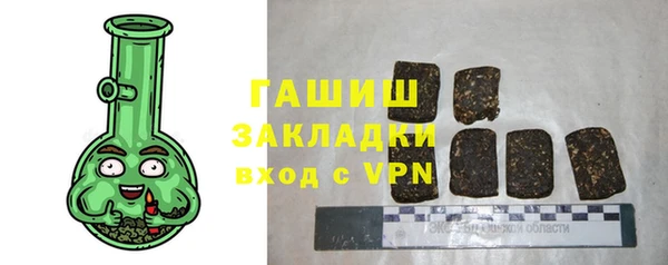 дживик Ельня