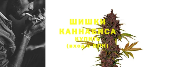 дживик Ельня