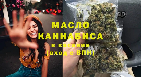 дживик Ельня