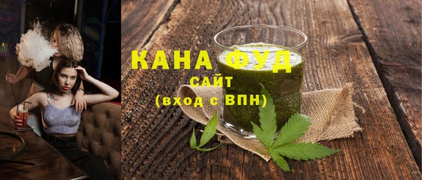 дживик Ельня