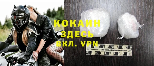 дживик Ельня