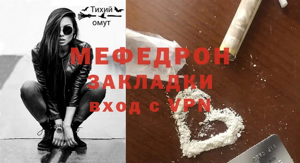 дживик Ельня
