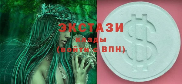 дживик Ельня