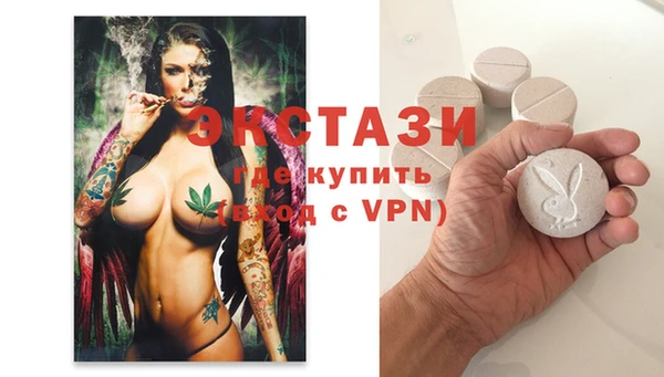дживик Ельня