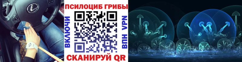 Купить где  Сафоново  Псилоцибиновые грибы мухоморы 